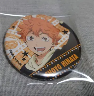 하이큐 히나타 쇼요 캔뱃지 캐릭터 배지 컬렉션