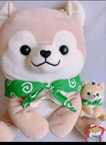 시바견 봉제 인형 2세트 BIG 사이즈 강아지