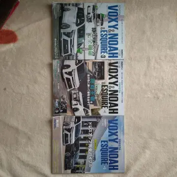 RV 드레스업 가이드 시리즈 Voxy & Noah & Esquire