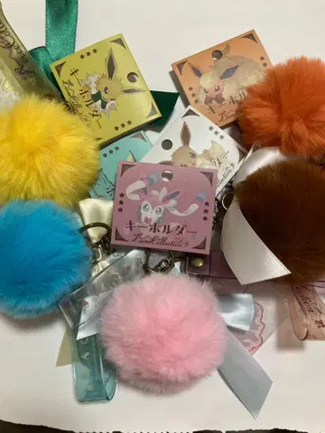 [타임세일 1월 3일까지 500엔 할인 가격] 이브이 컬렉션 키링 5종