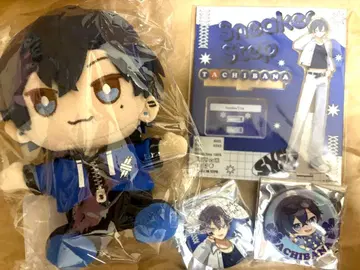 스니스트 타치바나군