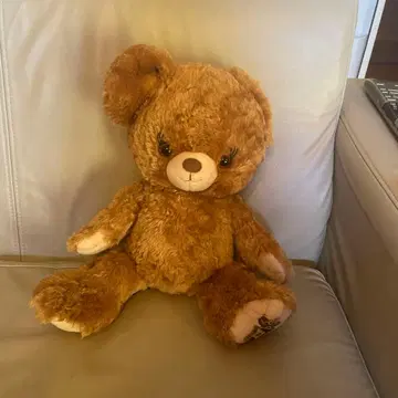 브라운 곰 봉제 인형