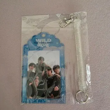 WILDBLUE 포토 카드 세트 미개봉 wildblue