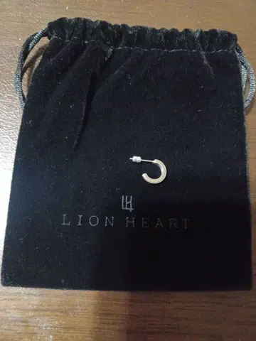 LION HEART LH 1 트라이G형 엣지 써지컬 스텐 귀걸이