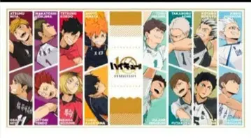 하이큐 10th Anniversary 빅 타월