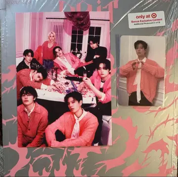 Stray kids DO IT US Target 한정판 TARGET 승민