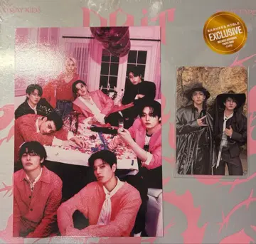 Stray Kids Do it B&N 한정판 트레이딩 카드 창빈 현진