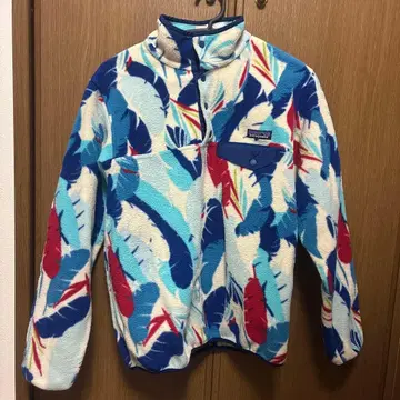 파타고니아 Patagonia 신틸라