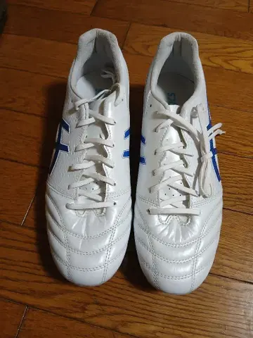 축구 스파이크 ds 라이트 프로