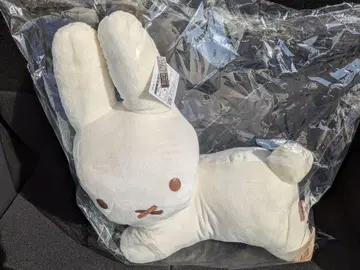 다이토 복권 블루나 애니멀 라스트 LH상 특대 사이즈 봉제 인형 토끼