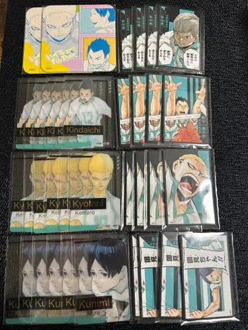 하이큐 팬파크 카드 아오바죠사이