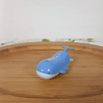 포켓몬 몬코레 호엘오