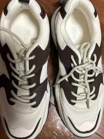 브라운/화이트 스니커즈 L 시마무라 다나카 리나 mysa closet