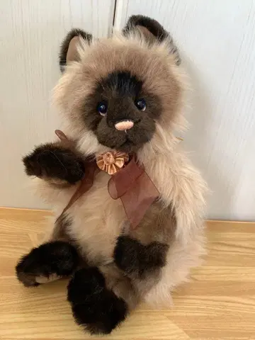 찰리베어즈 테디베어 고양이
