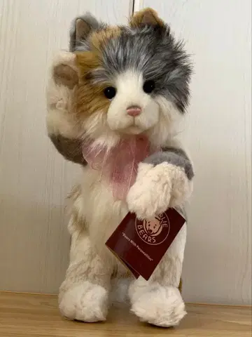 찰리베어즈 레어 삼색 고양이 테디베어