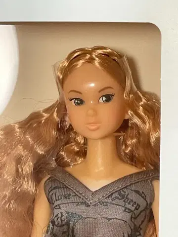 CCS-momoko [ CCS05AW 빅토리아 네이처 카키 ]