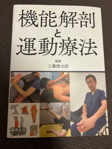 기능 해부와 운동 치료