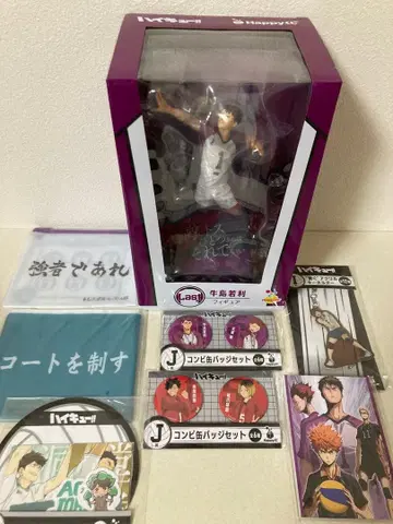 해피 복권 하이큐!! 라스트상 우시지마 와카토시 피규어 외 총 8점 세트