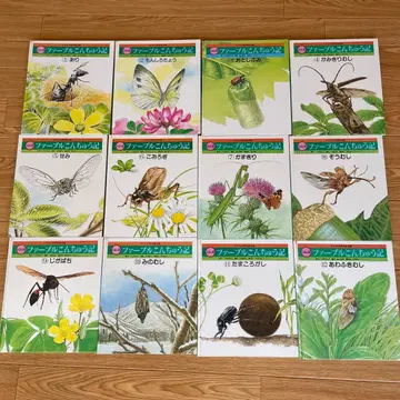 그림책판 파브르 곤충기