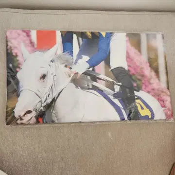 경마 소다시 디지털 타월