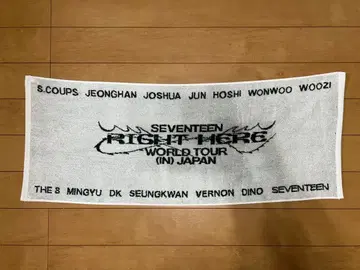 SEVENTEEN RIGHT HERE WORLD TOUR 타월