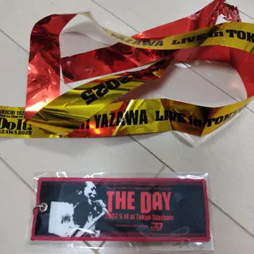 야자와 에이요시 키링 W 멤버 회장 한정 추첨 당선품