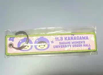 access 플라이트 택 가나가와