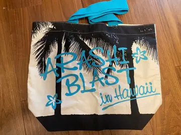 ARASHI BLAST in Hawaii 백