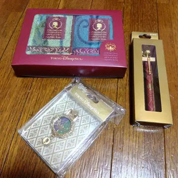 FS 안나와 엘사 굿즈 모음