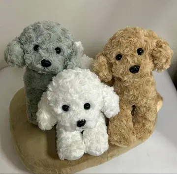 토이 푸들 봉제 인형 3개 세트 미사용 새상품