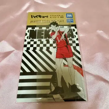 하이큐 포트레이트 아크릴 스탠드 쿠로오 테츠로