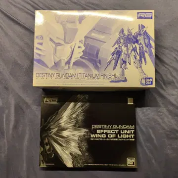 RG 1/144 데스티니 건담 [티타늄 피니쉬] & 빛의 날개