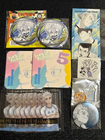 하이큐 팬파크 호시우미 코라이 카드 캔뱃지 스티커