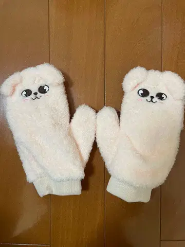 Stray Kids PuppyM 장갑