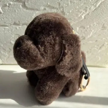 리얼 무스탕 참