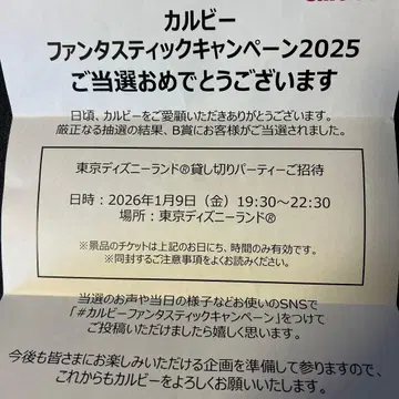 도쿄 디즈니랜드 대관 2명