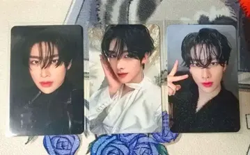 Y51 ZB1 리키 QQ Music 중화 별 2.3.4 3장 세트