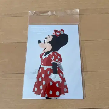 이매지닝 더 매직 미니 사진 가로