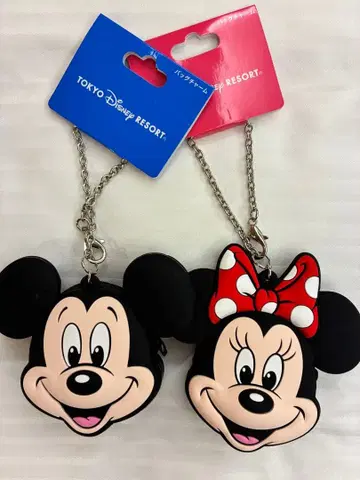 도쿄 디즈니 리조트 백참 코인 케이스 미키 미니