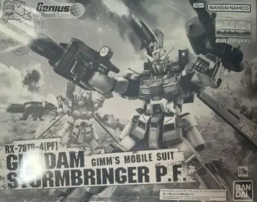 건담 프라모델 MG 1/100 건담 스톰브링거 P.F.