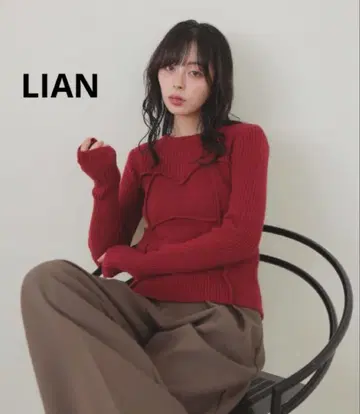 LIAN 리안 뷔스티에 디자인 리브 니트탑 레드 프리