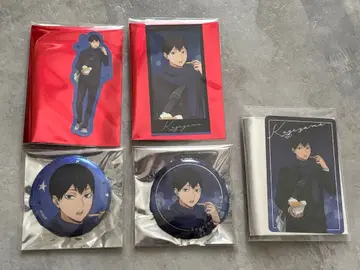 하이큐 코스모 월드 카게야마