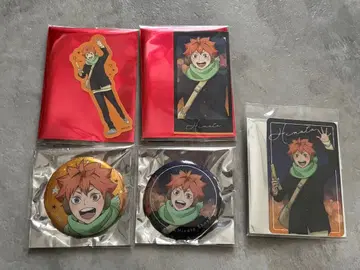 하이큐 코스모 월드 히나타