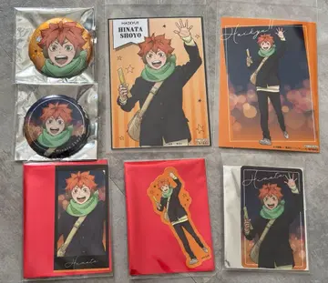 하이큐 코스모 월드 히나타