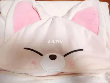 straykids skzoo 담요 폭시니 아이엔