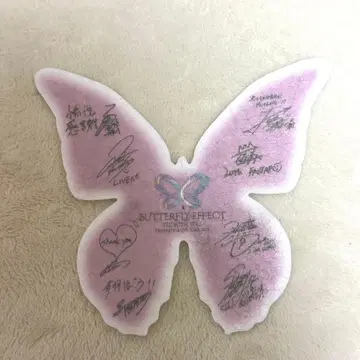 FANTASTICS BUTTERFLY EFFECT 메시지 카드 낙하물