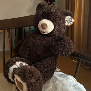 코스트코 곰 봉제 인형 큰 봉제 인형