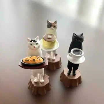고양이의 순수 찻집 부치 쿠로 미케 3세트