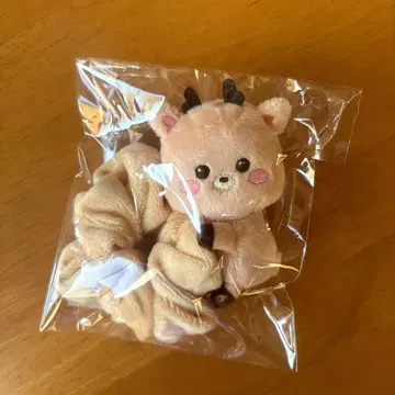 RIIZE 스크런치 성찬