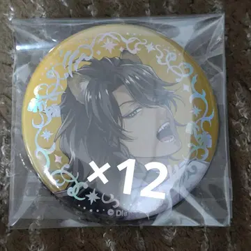 레오나 트위스테 플라티나 자켓 12개